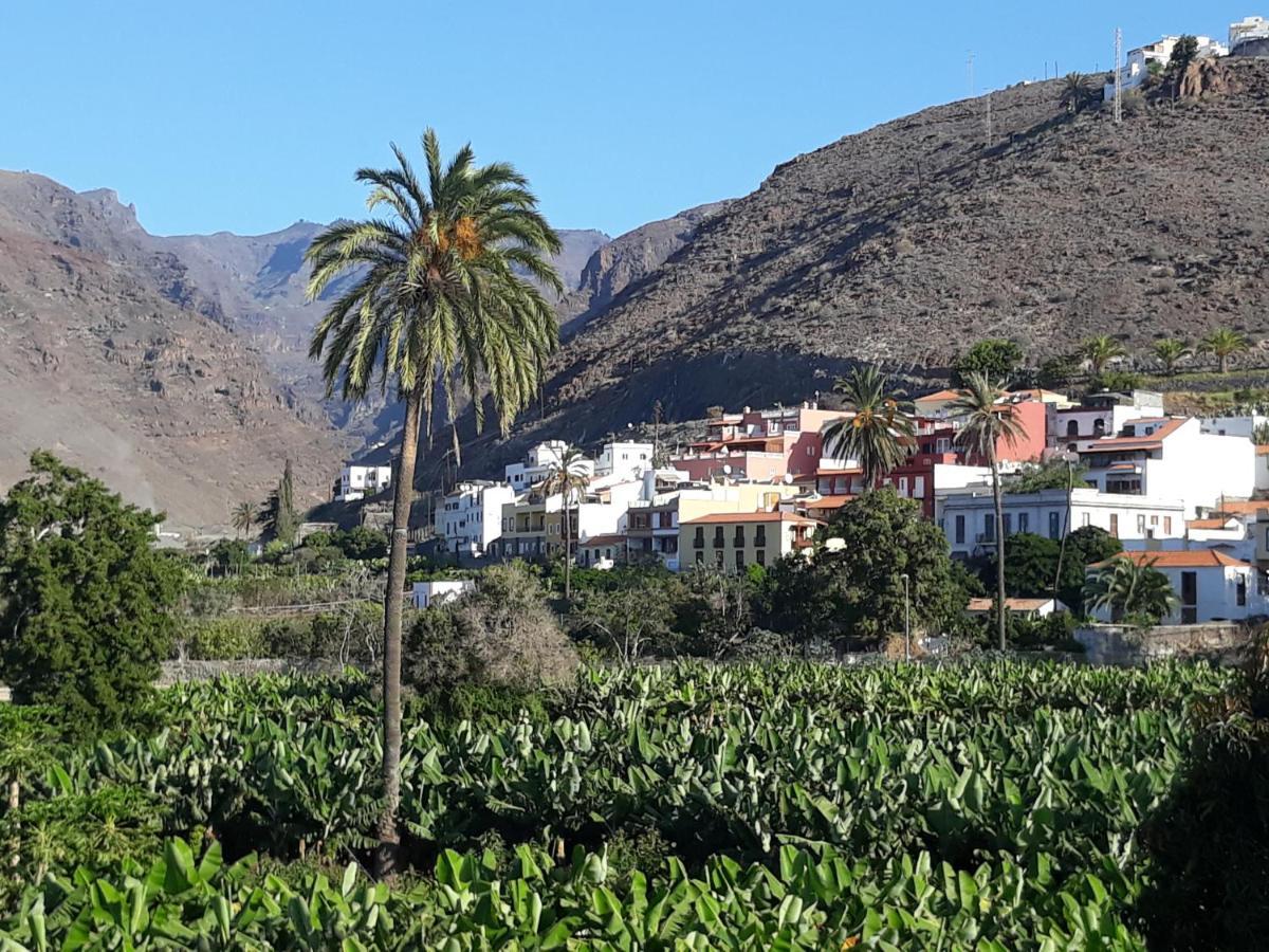 Los Olivos ปลายา เด ซานเตียโก ภายนอก รูปภาพ