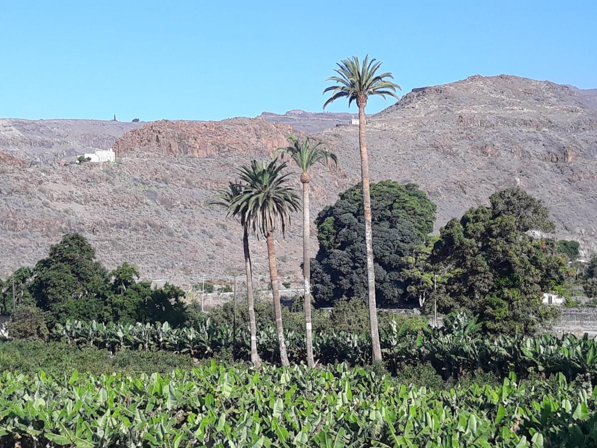 Los Olivos ปลายา เด ซานเตียโก ภายนอก รูปภาพ