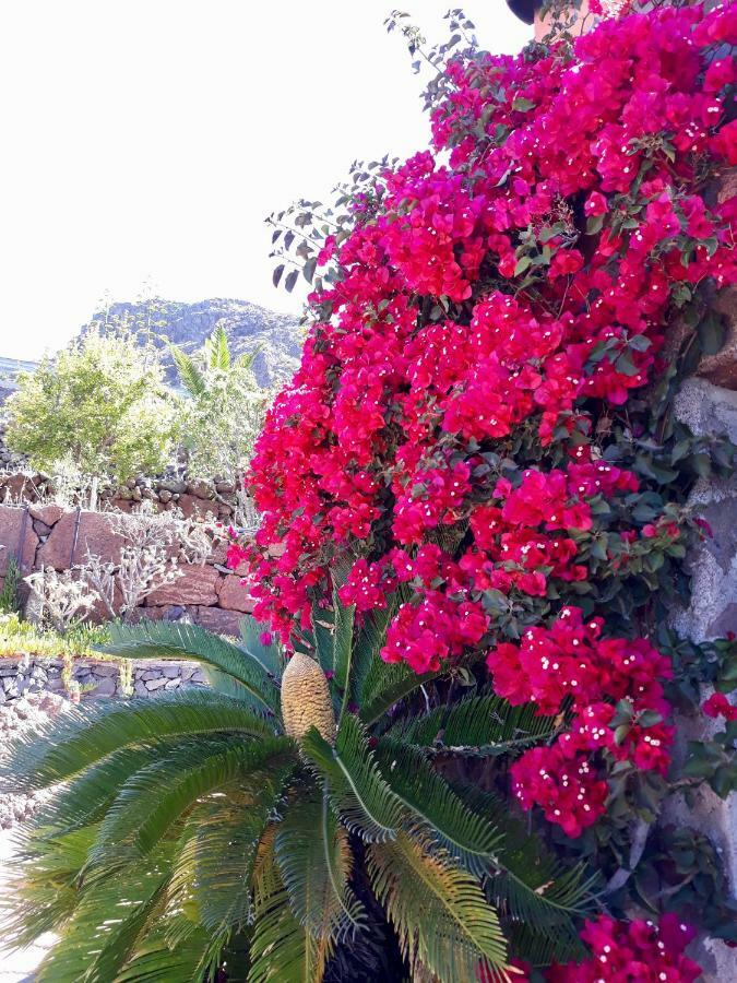 Los Olivos ปลายา เด ซานเตียโก ภายนอก รูปภาพ