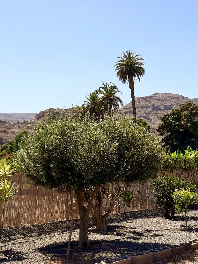 Los Olivos ปลายา เด ซานเตียโก ภายนอก รูปภาพ
